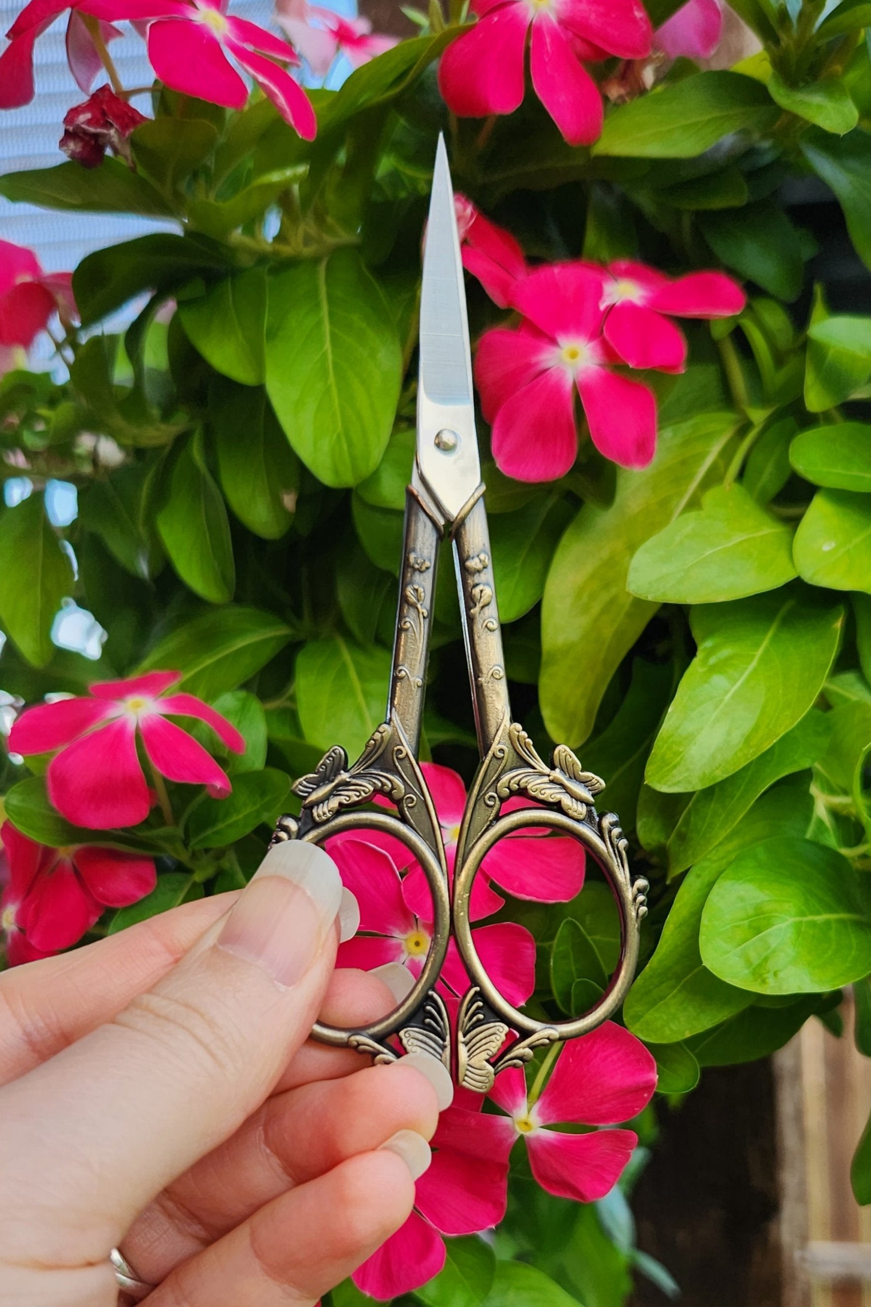 Stainless steel embroidery scissors with butterfly details